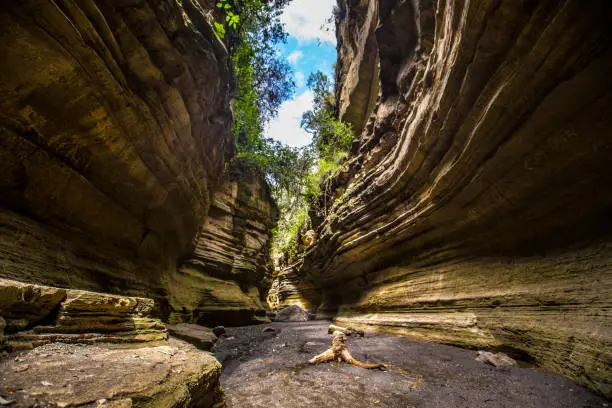 Naivasha Hells Gate National Park canyon full of animals. Kenya Walking or Bike Safari